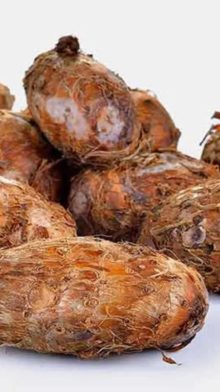 सर्दी में अर्बी खाने के ये फायदे बेशुमार, बिस्तर से खड़ा कर दे बीमार