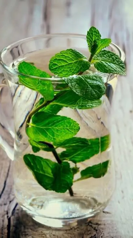 गर्मियों में पुदीना पानी पीने के 5 फायदे!