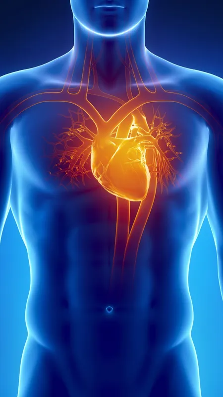 7 Silent Signs of Heart Blockage You Shouldn’t Ignore