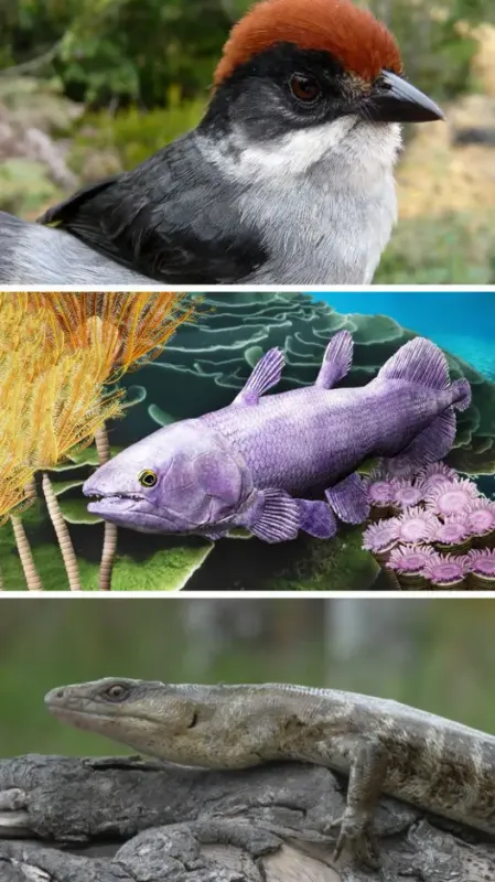 Back From The Dead: 8 Animals Which Returned After Going Extinct