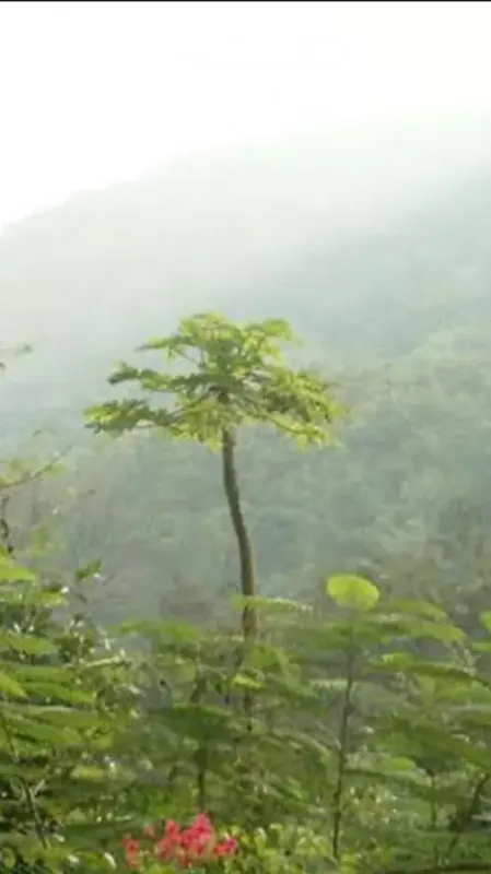 Best Places To Visit In Odisha In April For Perfect Summer Getaway