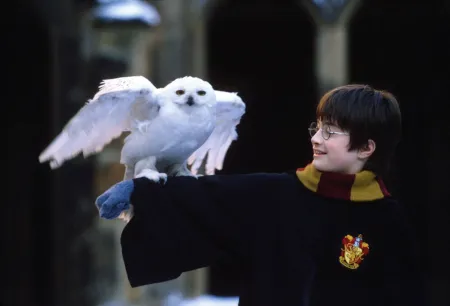 Books That Achieved Movie-Level Fame!