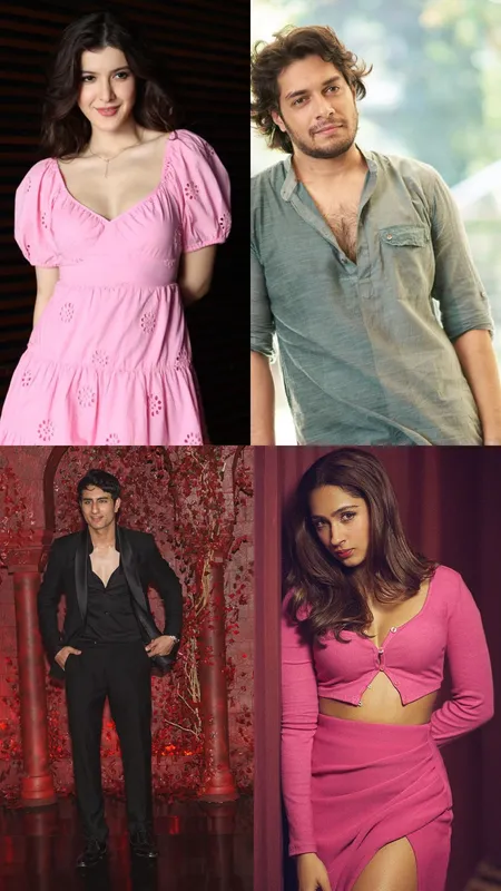 From Abhay Verma to Shanaya Kapoor; Bollywood Debuts of 2024
