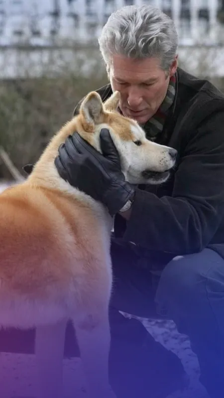 7 Best Movies For Dog Lovers