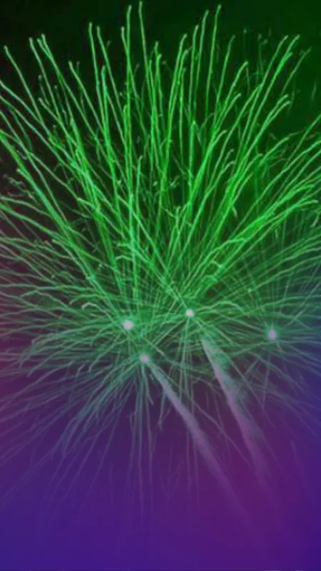  Green crackers in Diwali 