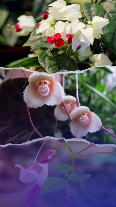 10 lants that look like animals
