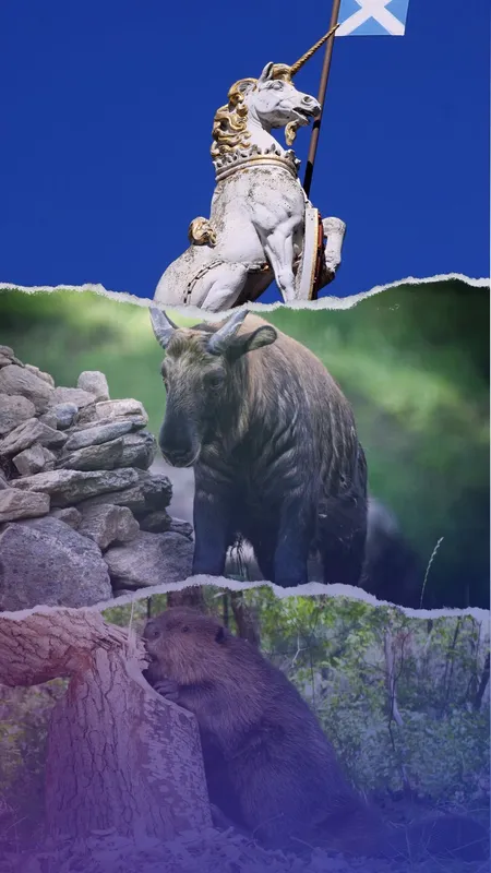 Most unique national animals