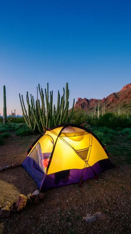10 Family-Friendly Campgrounds For Outdoor Adventures