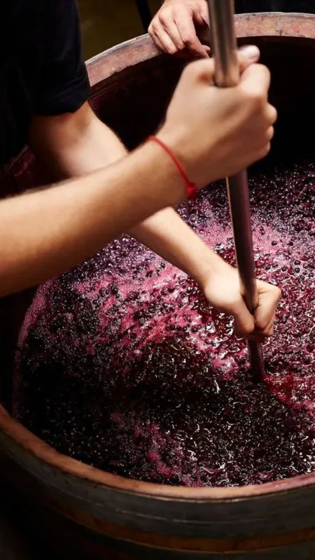 10 Best Wine Tasting Experiences in Napa Valley