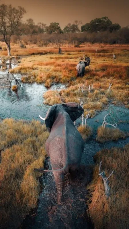 10 Exotic Wildlife Sanctuaries To Visit