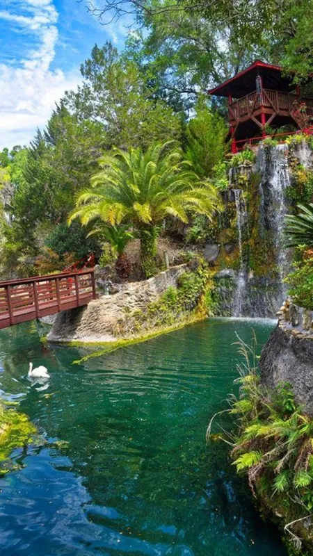 10 Stunning Botanical Gardens To Explore