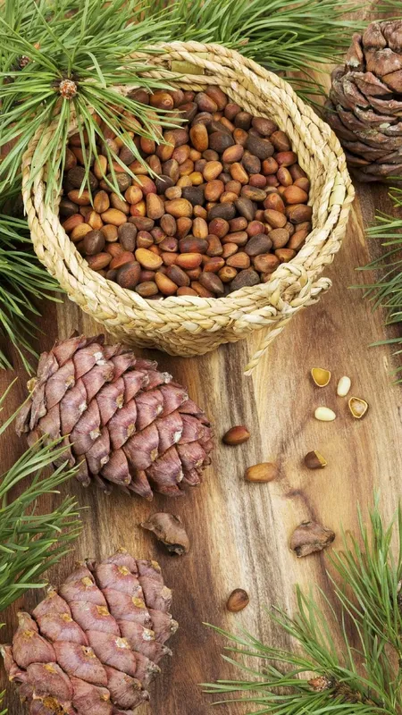 Health benefits of Pine Nuts