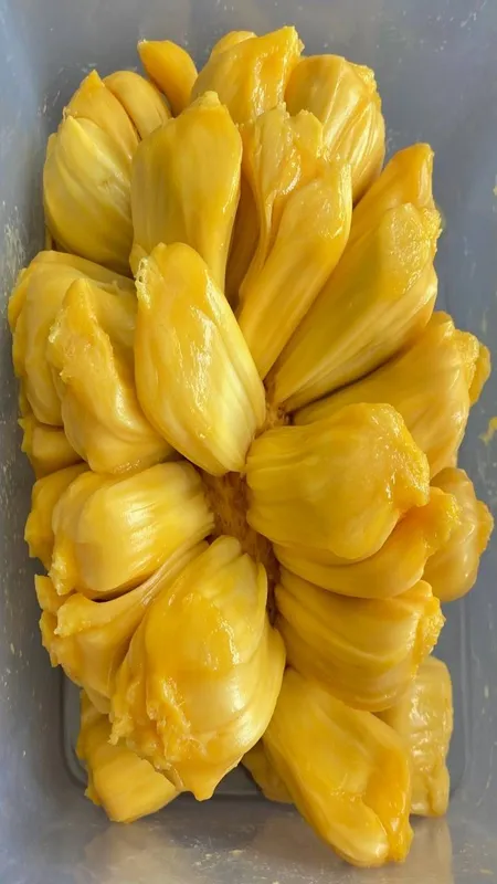 Jackfruit