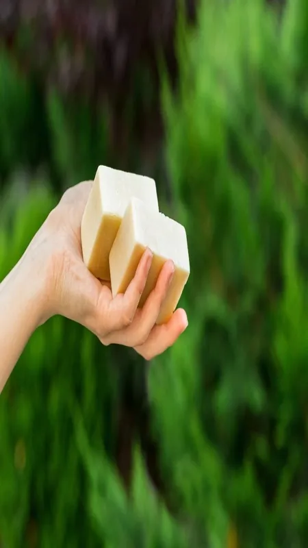 Soap In Family