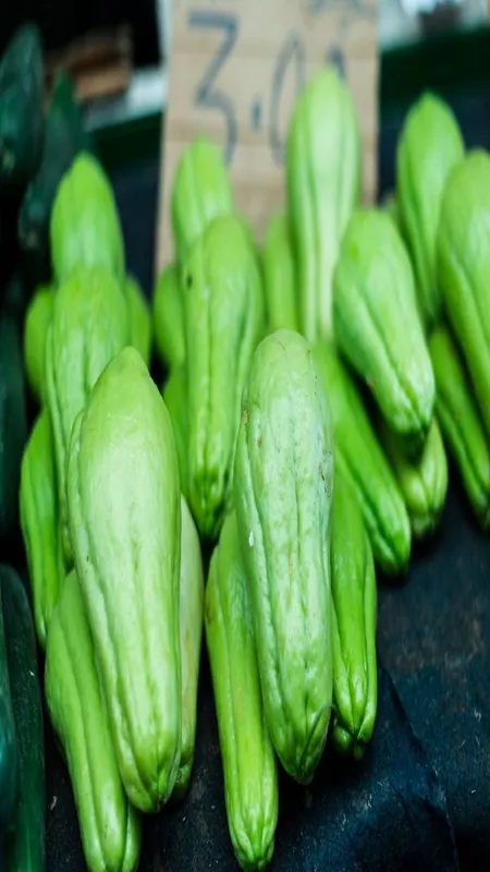 Chayote for Cancer