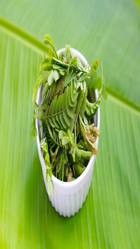 Tender Tamarind Leaves