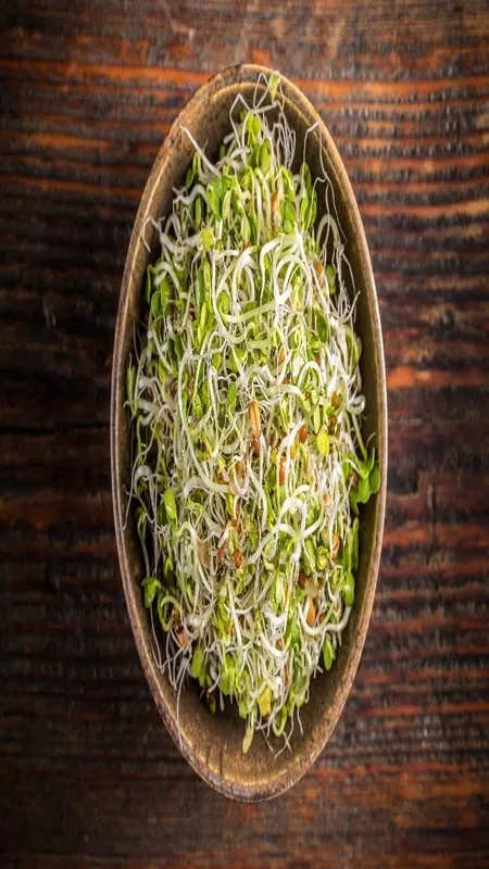 Sprouts