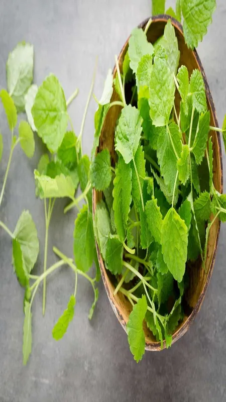 Ajwain Leaves Benefits