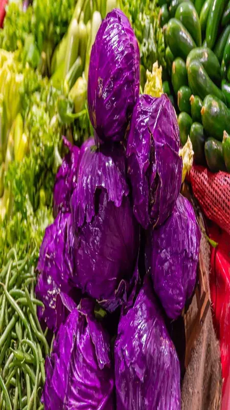 Purple Cabbage