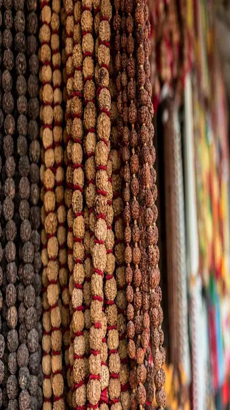 Rudraksha