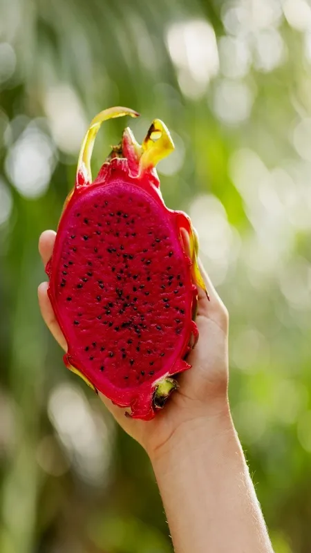 Dragonfruit6