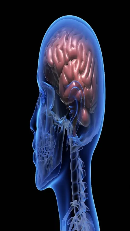 Brain health