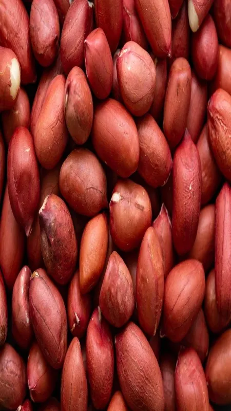 soaked Peanuts