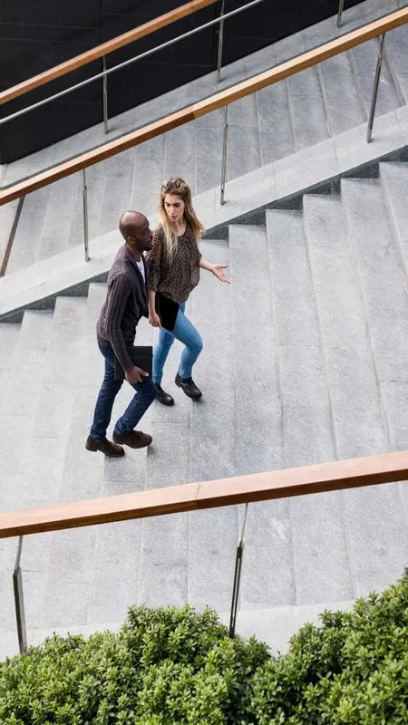 climb the stairs