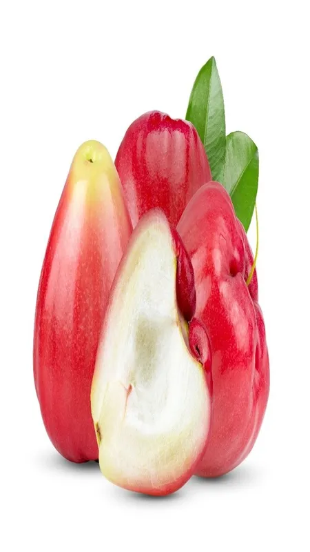 Rose Apple