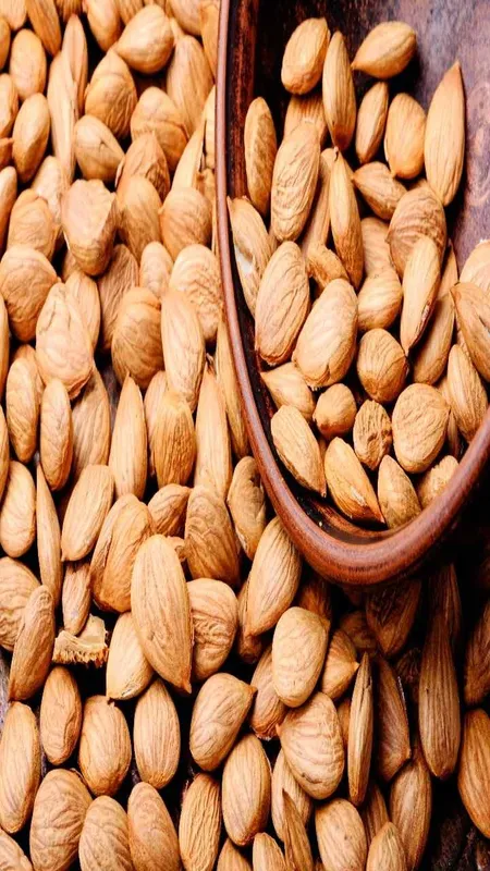 Mamra almonds