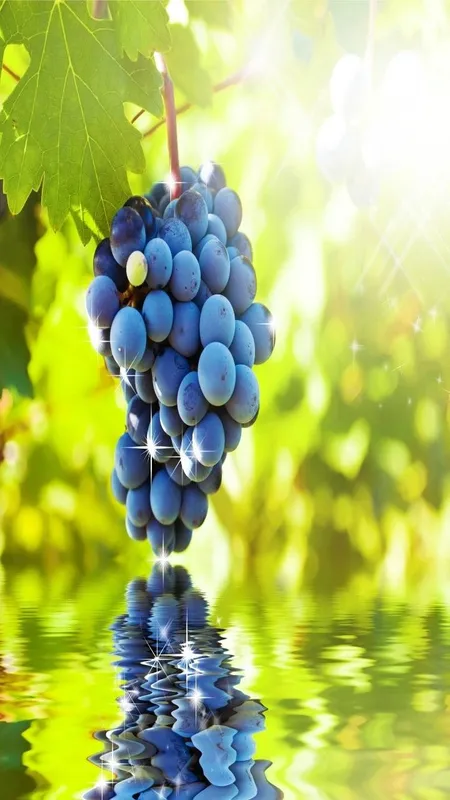 Grapes