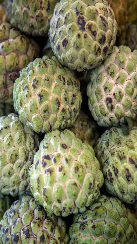 Custard Apple