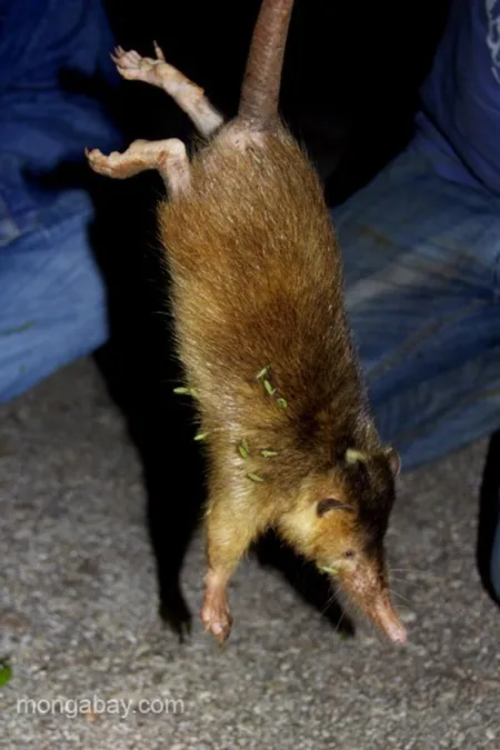 7435cc3c-0be7-4ee5-baf3-ee486b333674