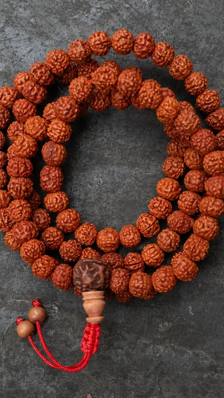 1 Rudraksha