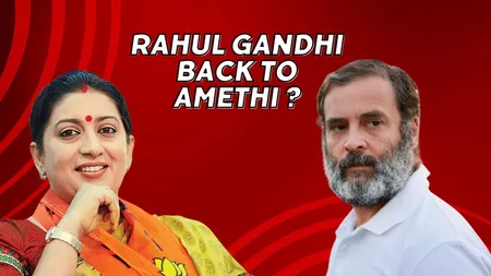 rahul gandhi back to amethi 