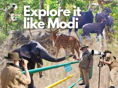 Safari with PM Modi