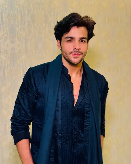 Ashish Chanchlani: Journey, Education, Career, and Net Worth of the YouTube Sensation