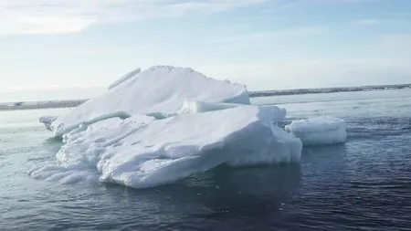 Antarctic