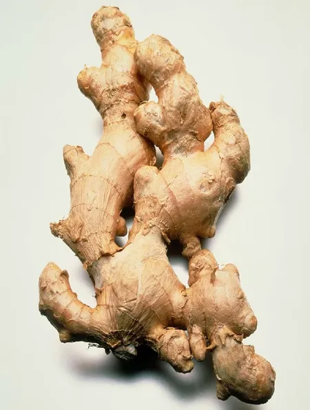 GINGER