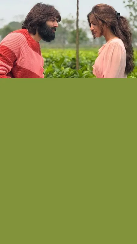 Kartik Aaryan love with Srileela