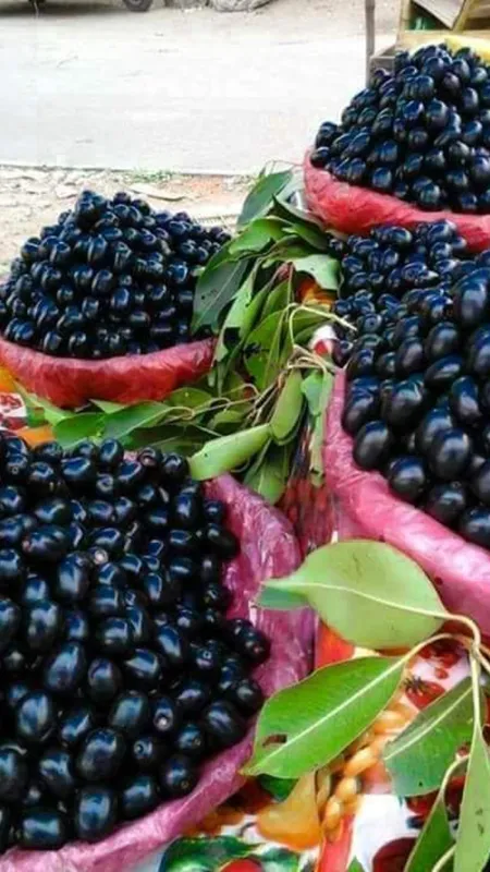 Jamun9