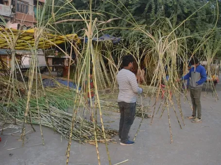 Dev Uthani Ekadashi 2021: शहर में जगह-जगह गन्ने के ढेर, ग्यारस की पूजा के  लिए हो रही खरीदी - Dev Uthani Ekadashi 2021 Heaps of sugarcane are being  bought for worship of