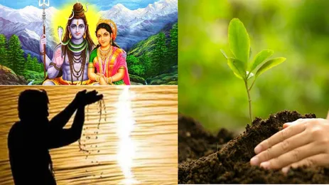 Hariyali Amavasya 2022 : पितृ दोष दूर करने के लिए इस बार हरियाली अमावस्या  पर करें ये उपाय, जानें हरियाली अमावस्या की तिथि | Hariyali Amavasya 2022 in  sawan month date significance