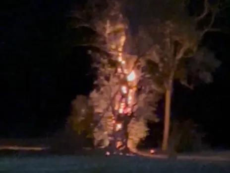 राजगढ़ के पीपलहेला गांव में बिजली गिरने से पेड़ में आग लग गई।