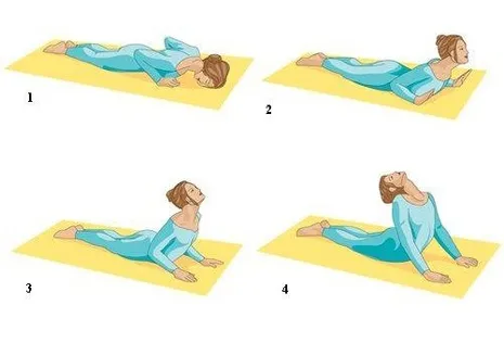 Bhujangasana - Pranava Ayurveda