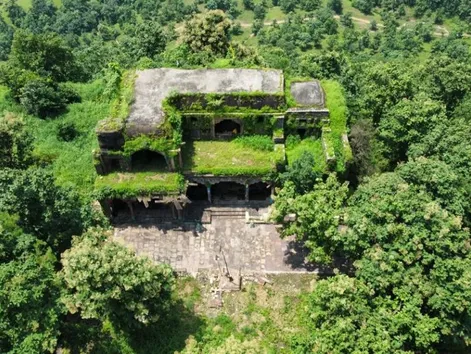 Ratapani Wildlife Sanctuary Jungle Safari Price; Timing & Route | रातापानी  में 1 दिसंबर से शुरू होगी जंगल सफारी: यह देश की ऐसी पहली सेंचुरी, जहां  पर्यटक 3 किमी लंबे नेचर ...