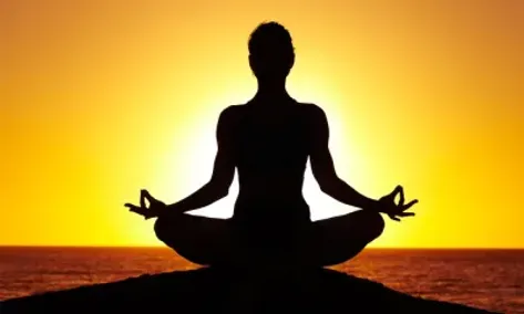 Yoga in Hindi, Banefits and Types of Yoga in Hindi: पढ़िए योगा क्या है? योग  के लाभ, योग के नियम, योग के प्रकार और योग आसन - India TV Hindi