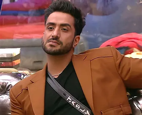 Aly Goni Bigg Boss 14 Journey
