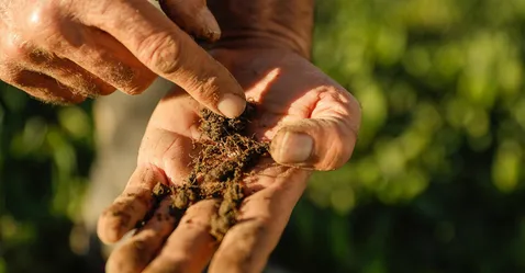 Why we should all care about World Soil Day – Untouched World