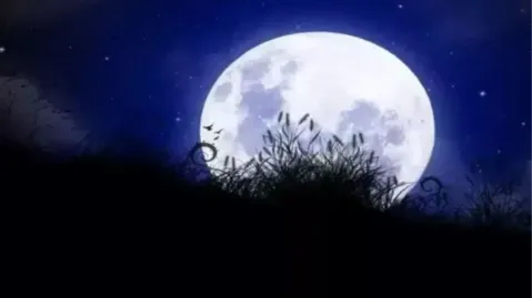 Margashirsha Purnima 2025: मार्गशीर्ष पौर्णिमेला भद्राचे सावट, जाणून घ्या स्नान  दान करण्यासाठी शुभ मुहूर्त | Navarashtra